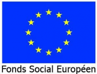 fonds-social-europeen2 fonds-social-europeen2